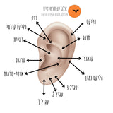 עגילי טיפה גדולה - זהב צהוב / אדום - 14K